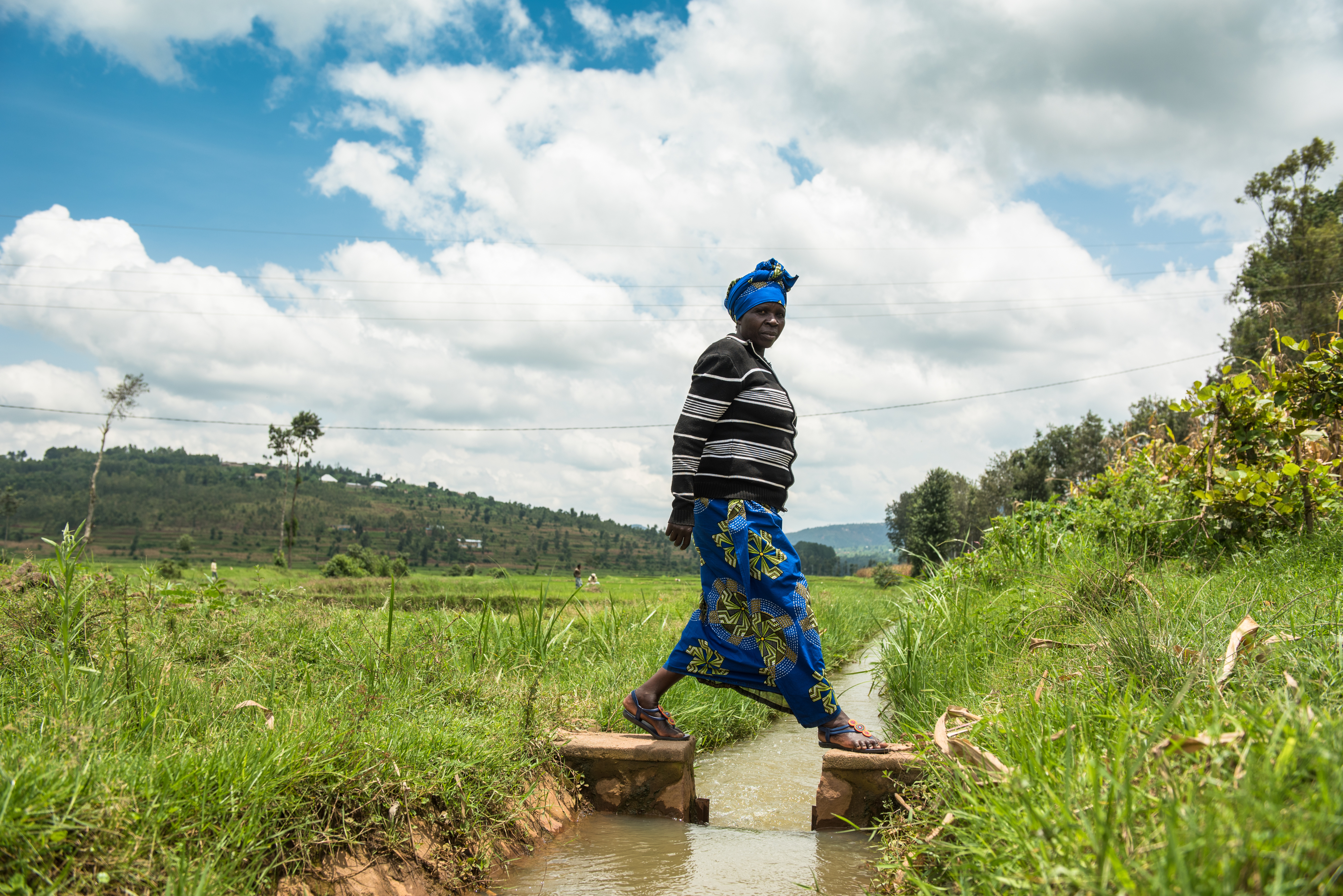 Mujawimana is a maize and rice farmer who with the support from this project was able to increase her yield, giving her the funds to start building a house. 